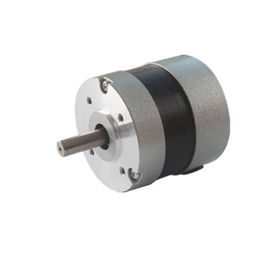 57mm Dia Fırçasız Doğru Akım Motor Düşük Gürültü Hall Etkisi Açı 120 Derece